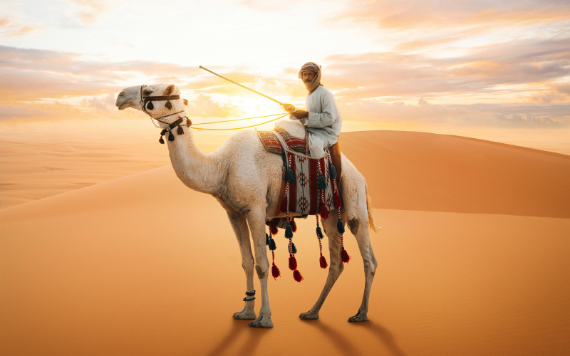 Why August is a Unique Time to Experience Saudi Arabia?